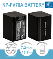 BM Premium 2 Pack of NP-FV70A High Capacity Batteries and Dual Bay Battery Charger for Sony Handycam Camcorders