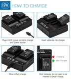 BM 2 DMW-BMB9 Batteries and USB Dual Charger for Panasonic Lumix DC-FZ80 DMC-FZ40K DMC-FZ45K DMC-FZ47K FZ48K FZ60 FZ70 DMC-FZ100 DMC-FZ150 Cameras