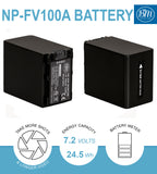 BM Premium 2 Pack of NP-FV100A High Capacity Batteries and Dual Bay Battery Charger for Sony Handycam Camcorders